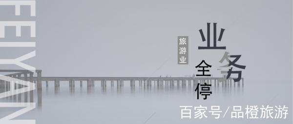 旅游业业务全停,咋整